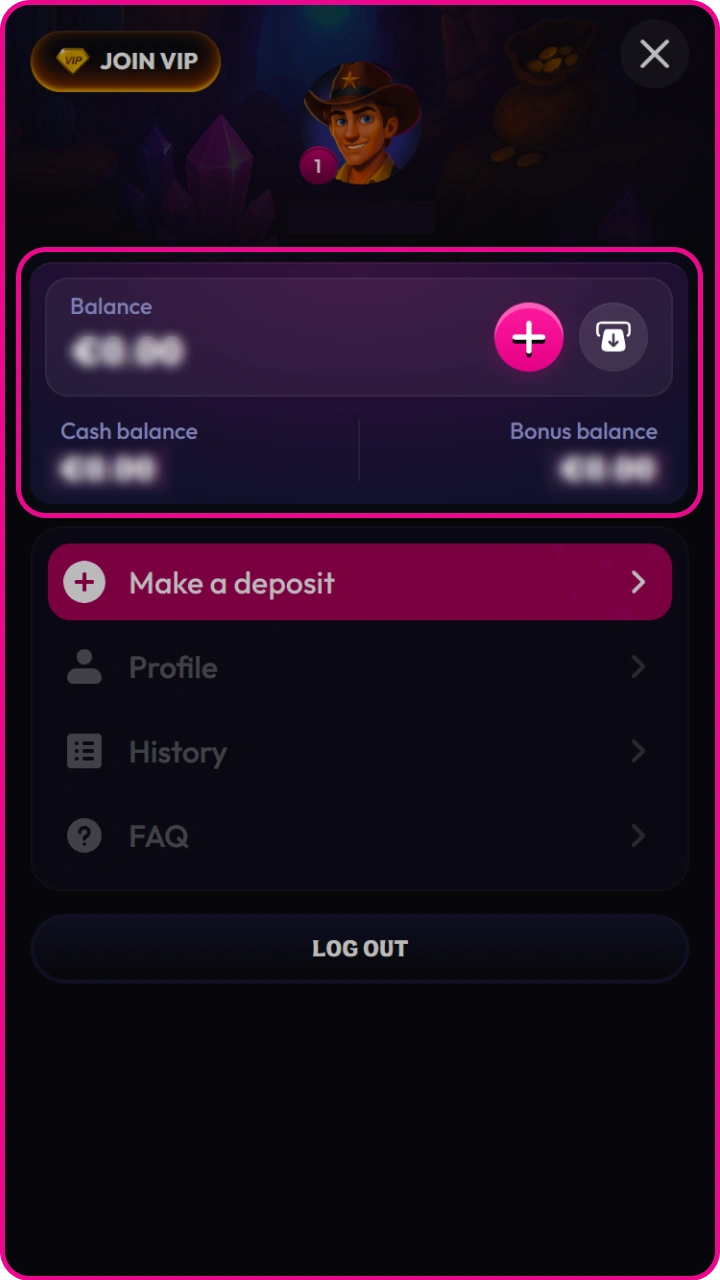 Easily check your cash and bonus balances in your personal Wildzy profile.