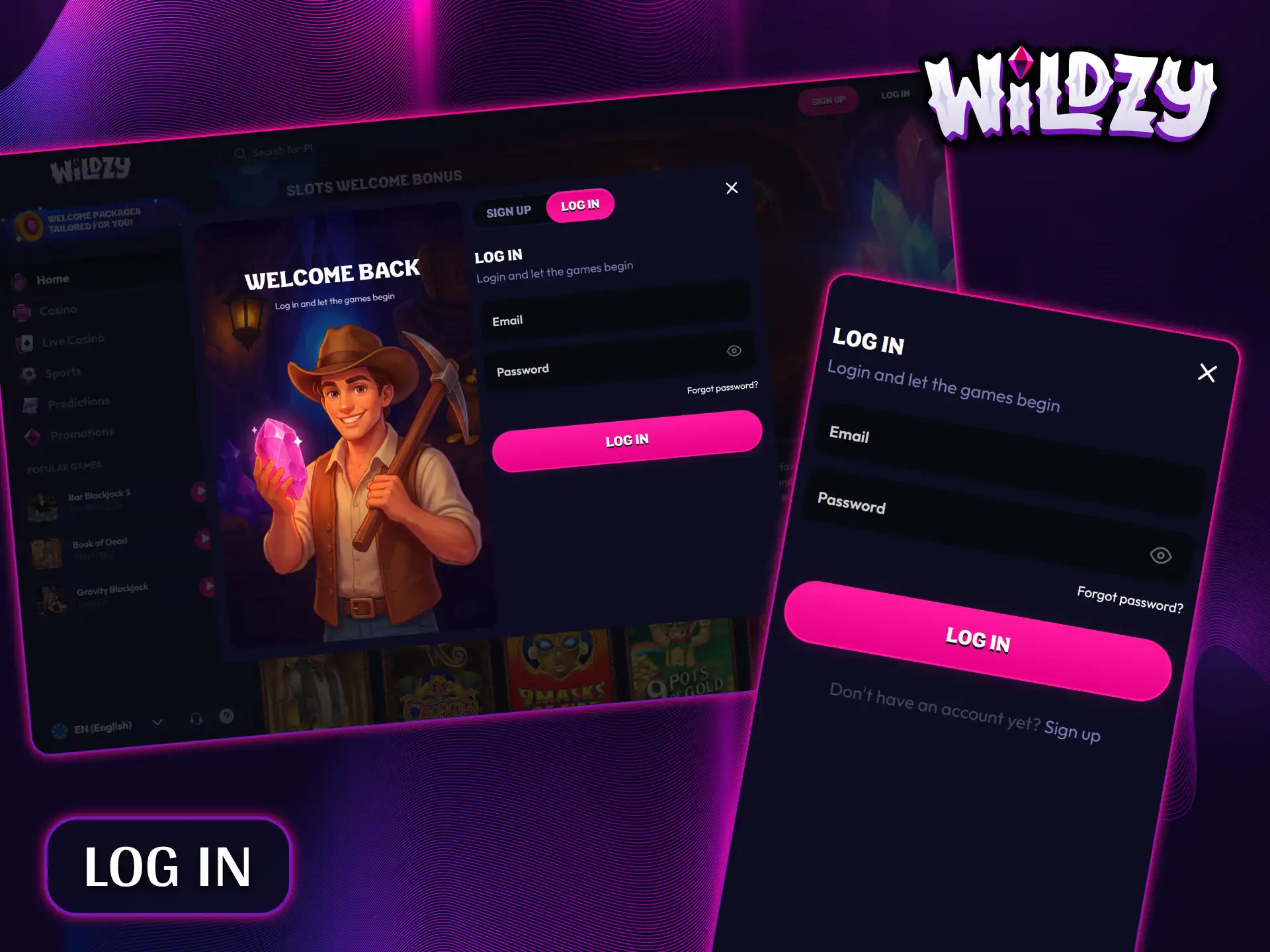 Log in to the Wildzy website in just a couple of clicks.