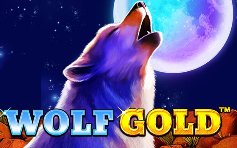 Hunt for big wins and jackpots under the light of the full moon while playing Wolf Gold at Wildzy.